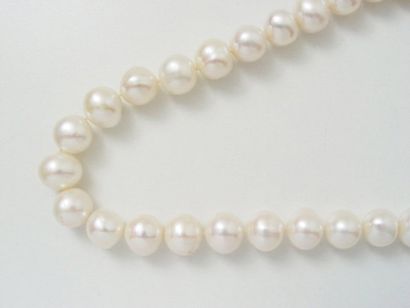 Collier composé d'une légère chute de perles...