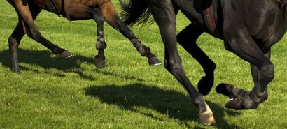 Galop à deux Tirage numérique sur papier...