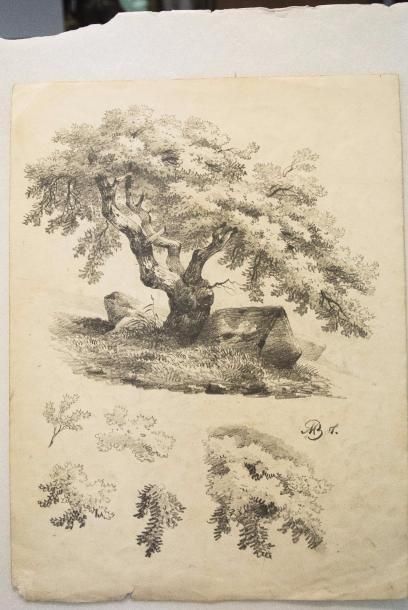 Jean-Baptiste MÜNTZBERGER (1794-1878) 

Etudes...