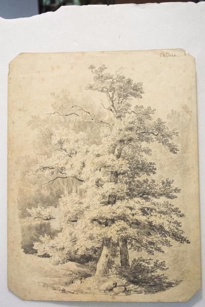 Jean-Baptiste MÜNTZBERGER (1794-1878) 

Etudes...