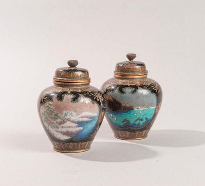 PAIRE DE PETITES POTICHES couvertes en bronze...