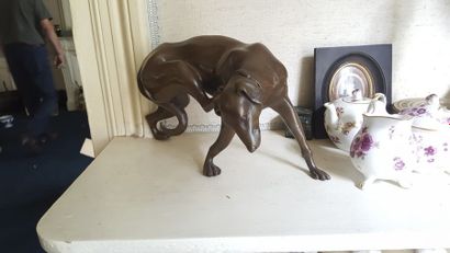 Chien de chasse se grattant l'oreille, groupe...