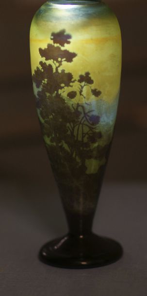Vase en verre. Gallé
