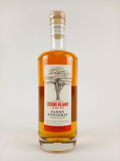 1 bottle of 70 cl Fanny Fougerat, Cognac...