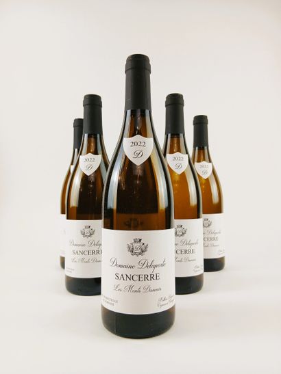 6 bottles Domaine Delaporte, Sancerre blanc,...