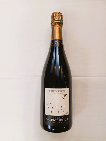 6 bottles Roger Coulon, Champagne Brut Nature,...