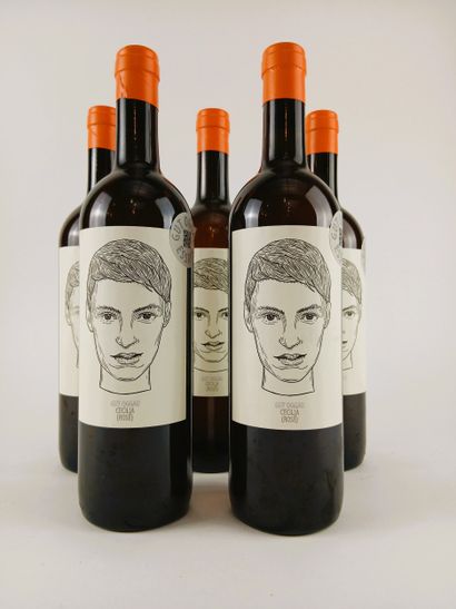 5 bottles Gut Oggau, Burgenland, Cecilia...