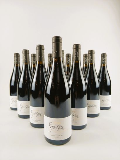 12 bottles Domaine Saint Sylvestre rouge...