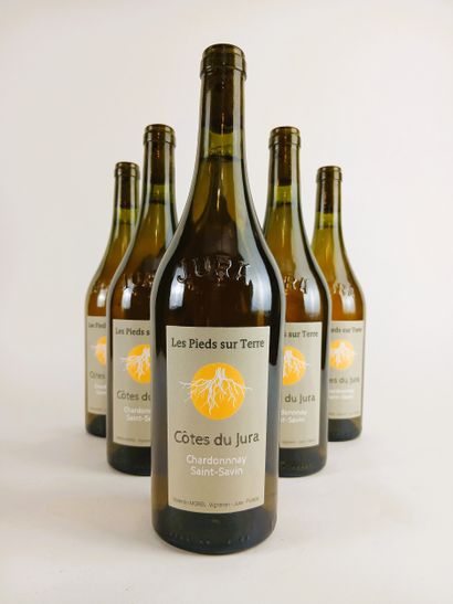 6 bottles Domaine Les Pieds sur Terre, Jura,...