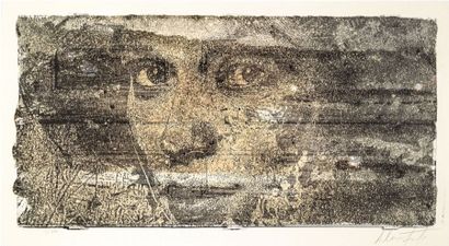 VHILS (Portugais, né en 1987)

Peroxide,...