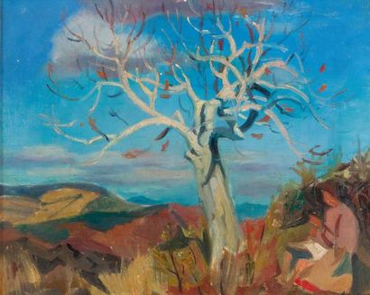 AUJAME Jean (1905-1965)
Le petit noyer blanc...