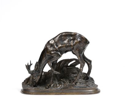 After Pierre-Jules MÊNE (1810 - 1879)

Deer...
