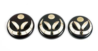 Set of 3 pairs of sandstone and tusks of...