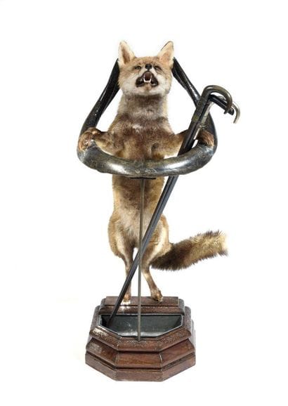 Red Fox (Vulpes vulpes) (CH):

naturalized...