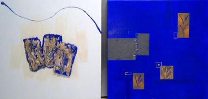 Ensemble de deux toiles PATRICK CLERC ondule-2010...