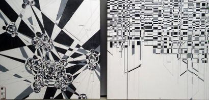 Ensemble de deux toiles THOMAS CANTO carte-2010...