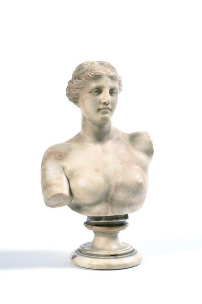 D’après l’Antique : Buste en marbre blanc...