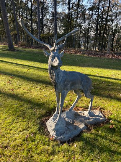 Deer in metal with patina

H: 153 cm

65...