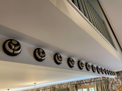 Set of fourteen fangs on escutcheon