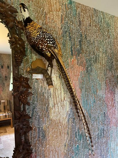 Naturalized venereal pheasant