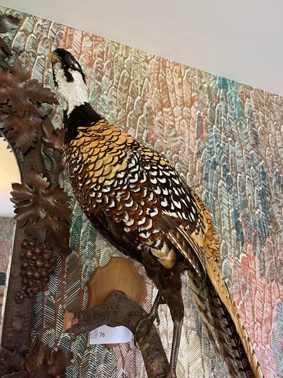 Naturalized venereal pheasant