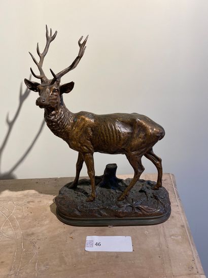 Stag on a mound

Bronze with gilded patina,...