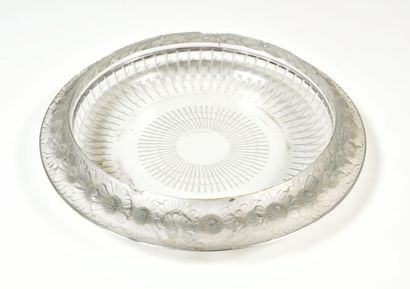 LALIQUE
Coupe modèle Marguerites
Verre moulé...