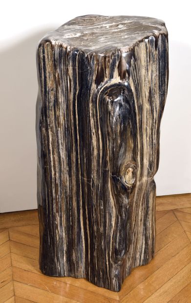Tronc d’arbre fossilisé