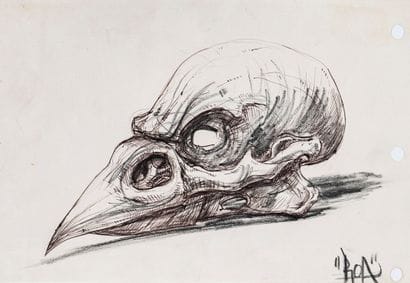 ROA (Belge, né en 1976) 
Crane d’oiseau...
