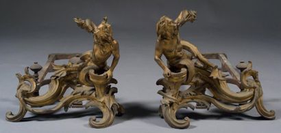 Paire de chenet en bronze doré