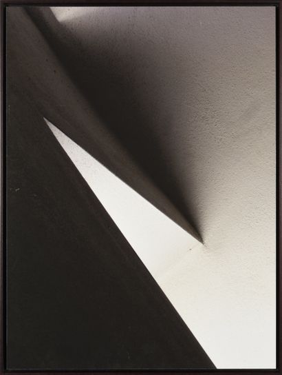 André le MAUFF (Français, né en 1951)
Grillon
Digigraphie...
