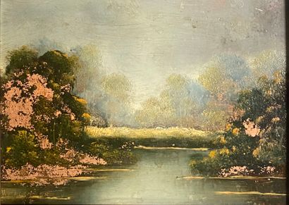 Robert WOLLINGER
Paysage
Deux huiles sur...