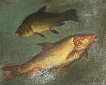XXe
Poissons (Carpes)
Huile sur toile, signée...