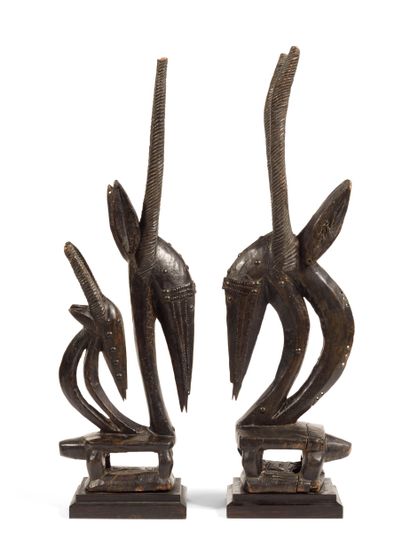 Couple de cimiers Ci wara Bamana (Mali)
Bois....