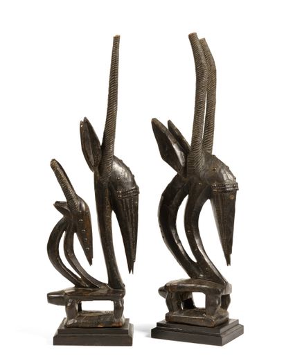 Couple de cimiers Ci wara Bamana (Mali)
Bois....