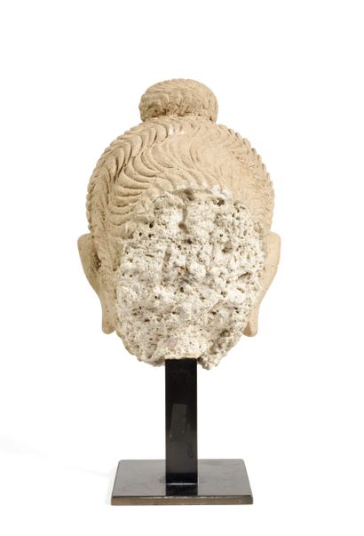 Tête de Buddha
Art du Gandhâra, circa IIIe...