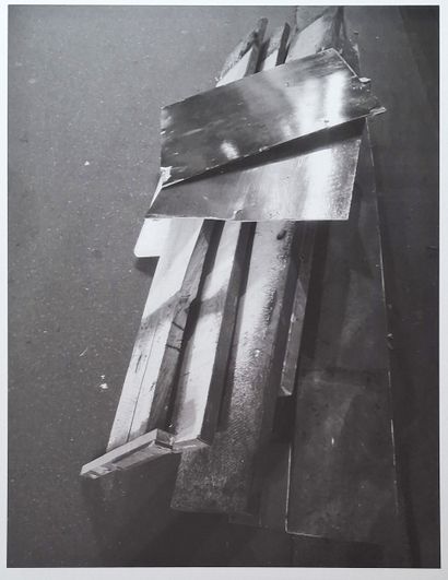 «*»Francesca PIQUERAS (née en 1969)
Sans...