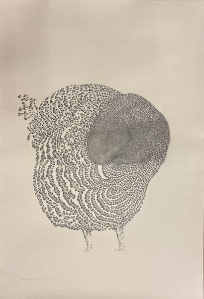 «*»Jean-Jacques CECCARELLI (1948-2017)
La...