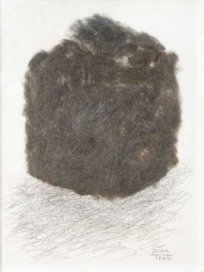 César (1921-1998)


PORTRAIT DE COMPRESSION

DE...