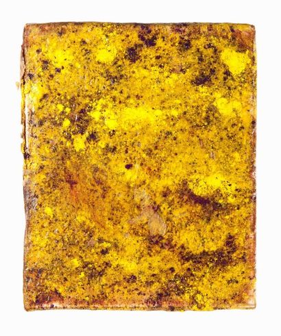 MANU GIBON (NÉ EN 1966)


PEINTURE AUTONOME...