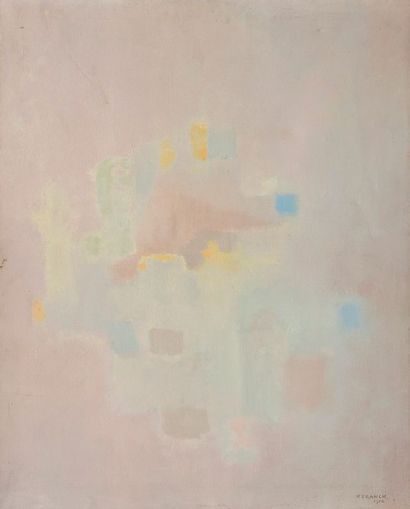 PAUL FRANK


LUMIERE IRISEE ROSE, 1958

Huile...