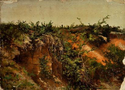 HERVIER


Paysage aux arbustes

Huile sur...