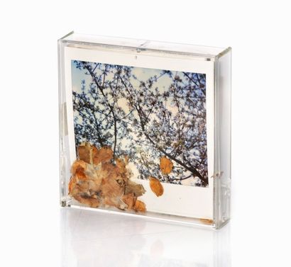 AURELE (né en 1965)


MEMORY BANK, 1989

Polaroïd,...