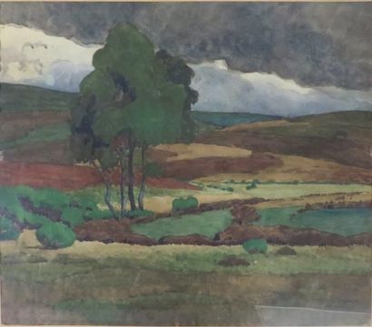 Léon JOUHAUD ( 1874-1950)


Paysage

Aquarelle...