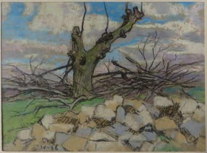 Léon JOUHAUD ( 1874-1950)


Vieux chataigniers,...