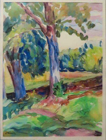 Jeanne KLEIN ( 1877-1966)


Arbres

Aquarelle...