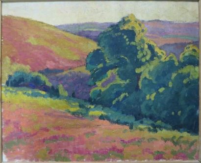 École FRANÇAISE du XXe siècle


Paysage valloné

Huile...