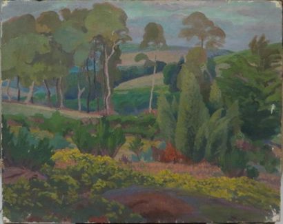 École FRANÇAISE du XXe siècle


Paysage

Huile...