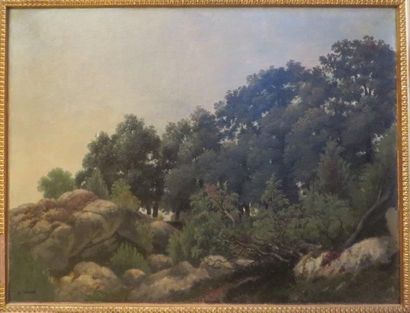 CHAUVEL Théophile (1831-1909)


Sous bois

Huile...