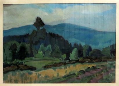 Charles BICHET ( 1863-1929)


Razès

Aquarelle...